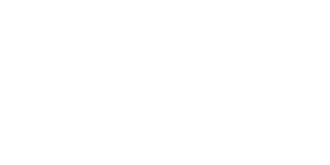 Logo Napoleon Brzykcy Usługi brukarskie